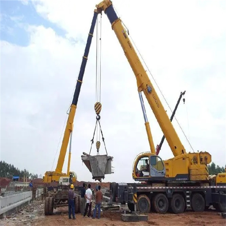 虎门港管委会小型吊机出租电话|厂房设备吊装方案|24小时服务覆盖