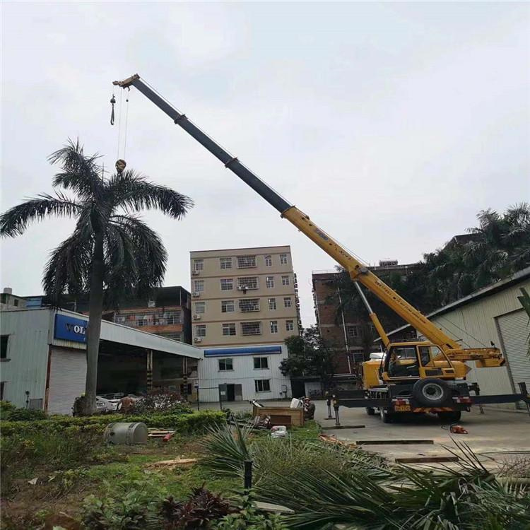 虎门港管委会树木移栽装卸